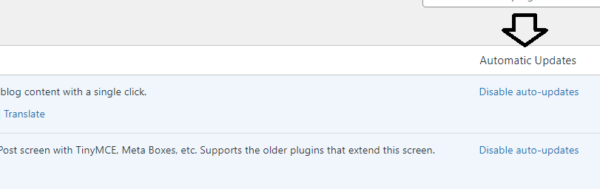 WordPress Dashboard Plug In area - enable and disable auto updates