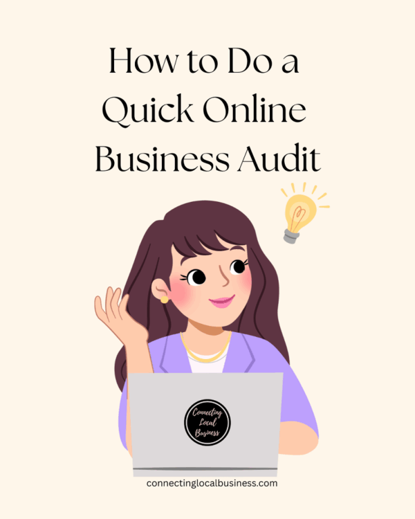 How to Do a Quick Online Business Audit graphic