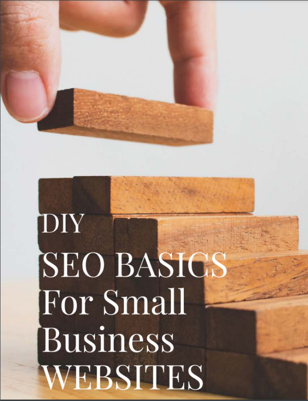DIY SEO Basics for Small Business Websites Guide cover